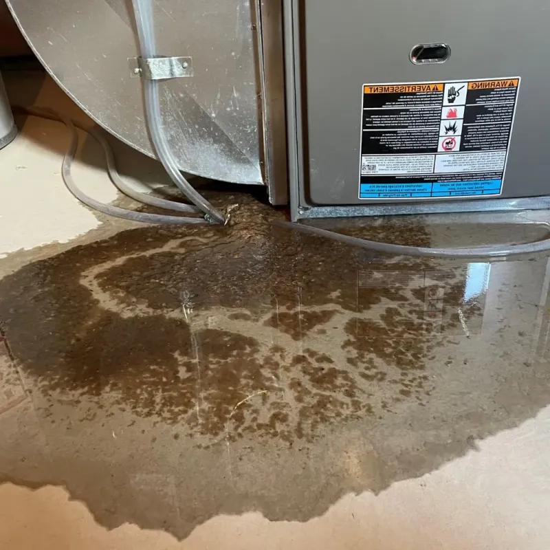 Pipe Burst and Leak Restoration in Lewiston, ID